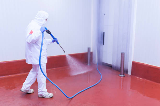Best Restaurant Pressure Washing  in Staples, MN